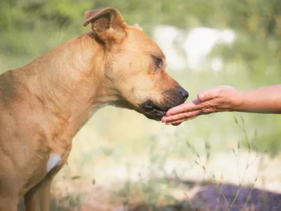 Fotografias Instagram-10